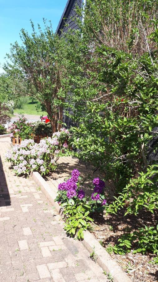 Ferienwohnung 43Qm Torf 10 Naehe Moehnesee Варштайн Екстер'єр фото