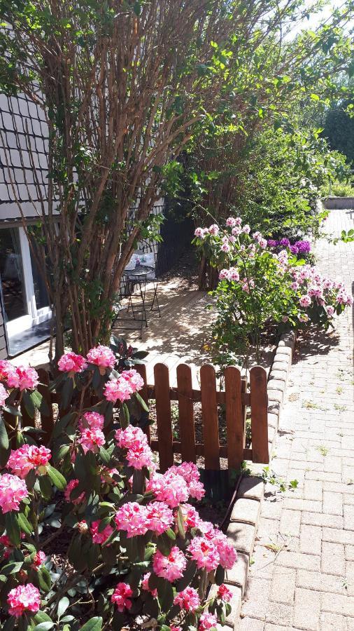 Ferienwohnung 43Qm Torf 10 Naehe Moehnesee Варштайн Екстер'єр фото